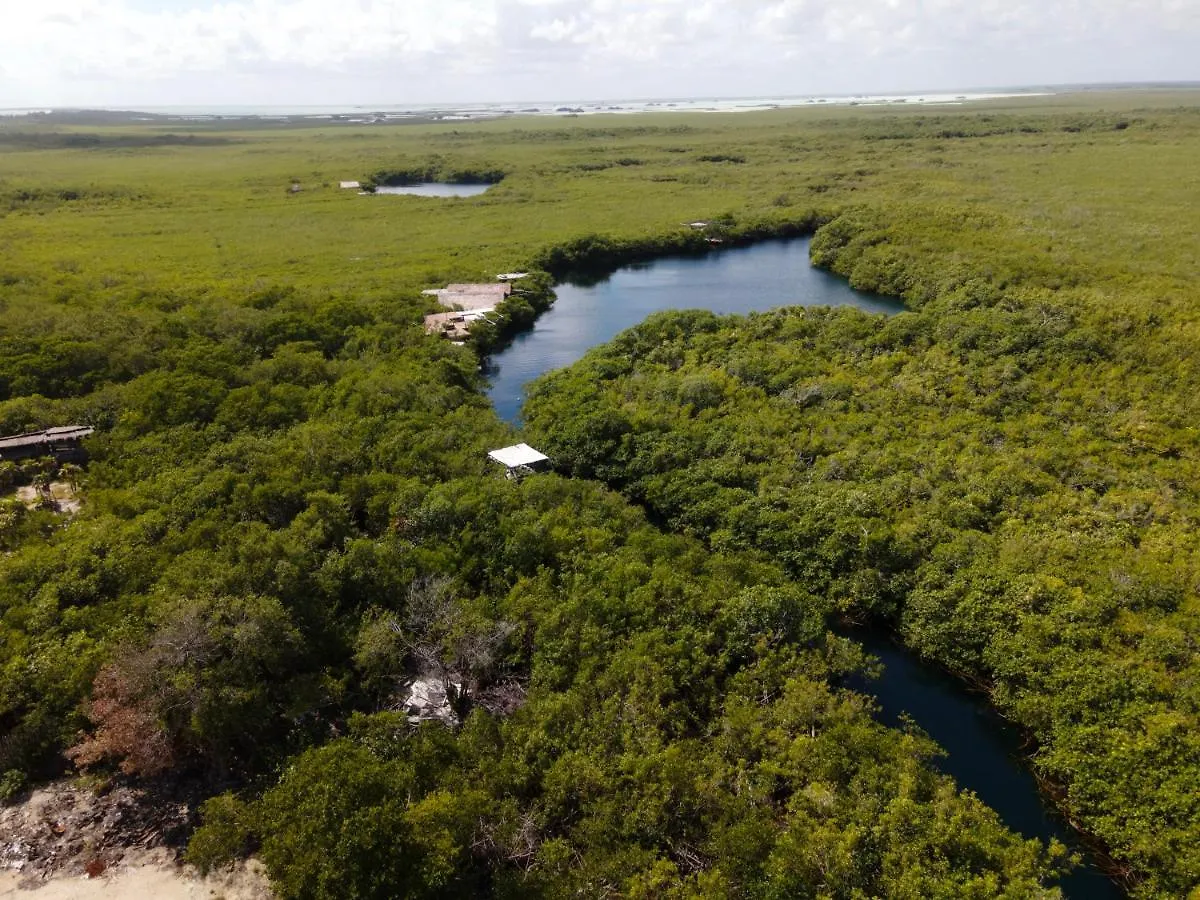 Manglex Eco Hotel Tulum Pueblo