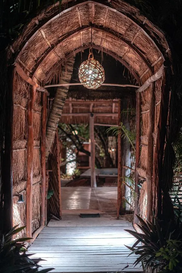 Manglex Eco Hotel تولوم