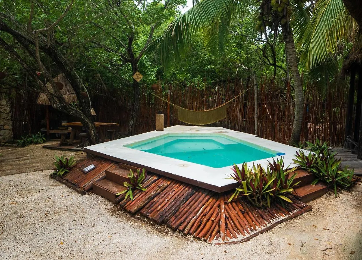 Manglex Eco Hotel تولوم