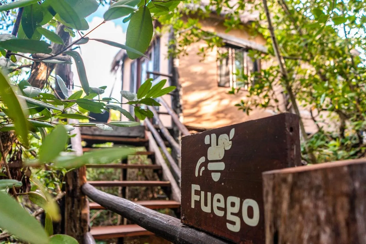 Manglex Eco Hotel تولوم