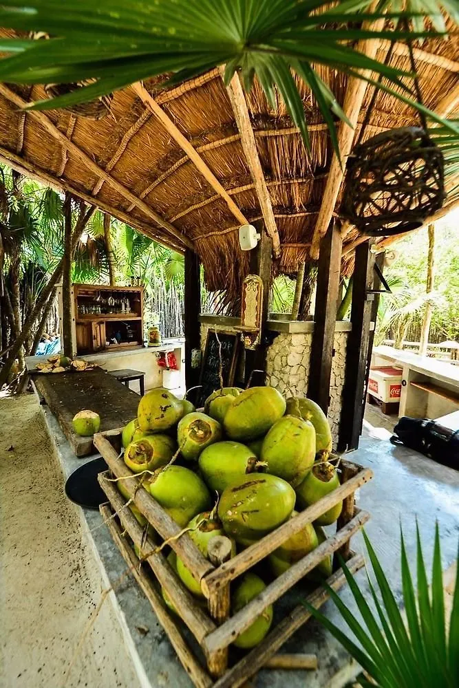 Manglex Eco Hotel تولوم
