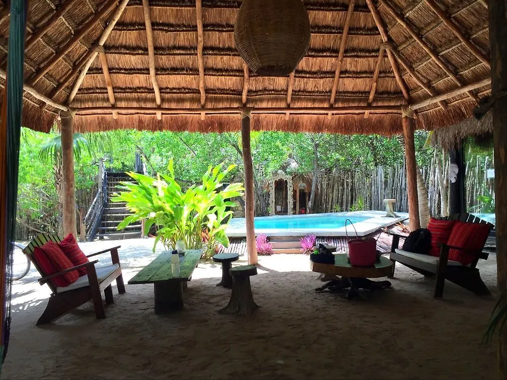 Manglex Eco Hotel تولوم المكسيك