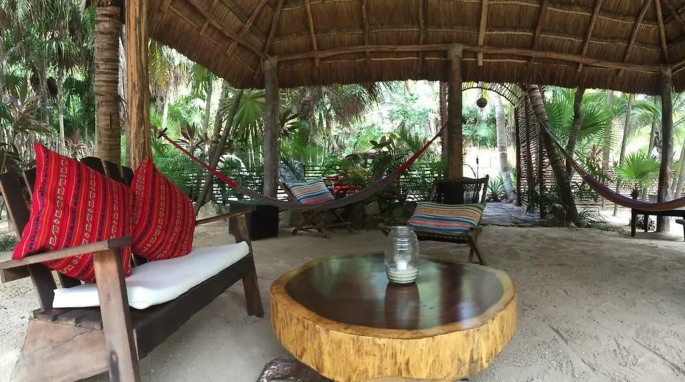Manglex Eco Hotel تولوم