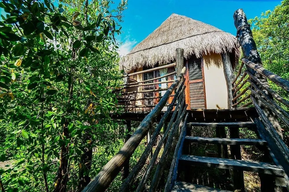 ***  Manglex Eco Hotel تولوم المكسيك