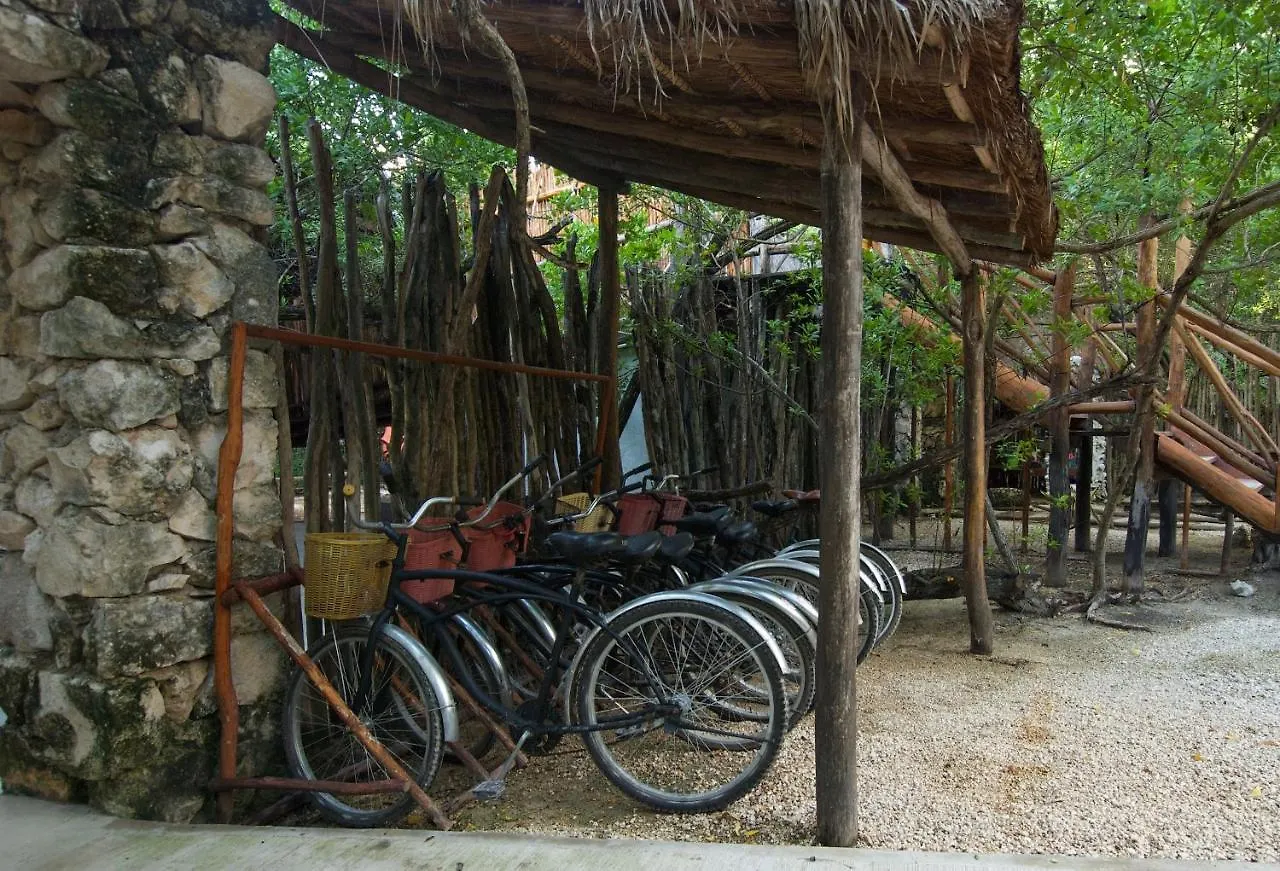 Manglex Eco Hotel تولوم 3*,  المكسيك
