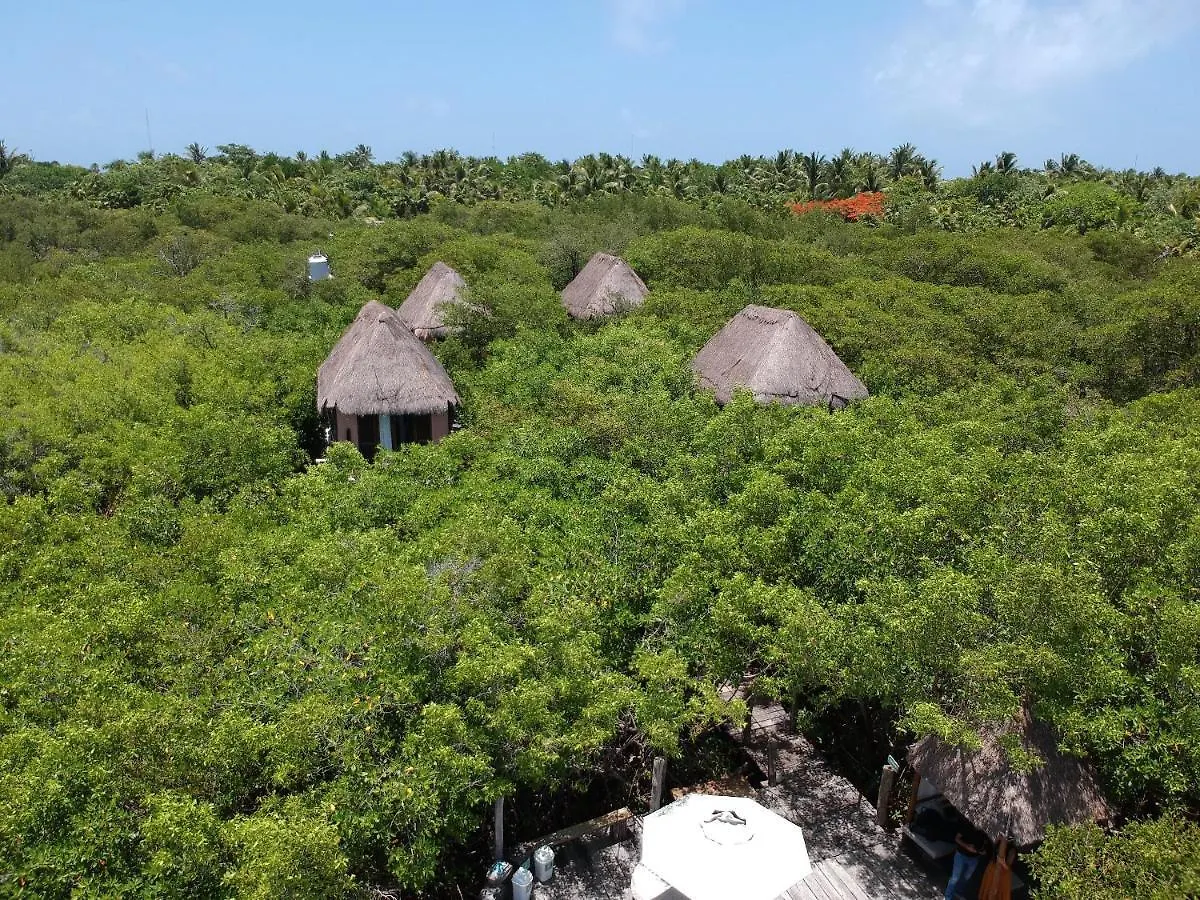 Manglex Eco Hotel تولوم